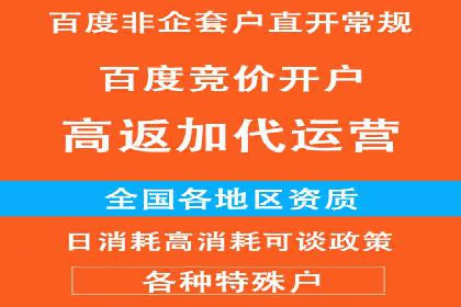 推广竞价策略优化：借鉴成功案例实现高效转化